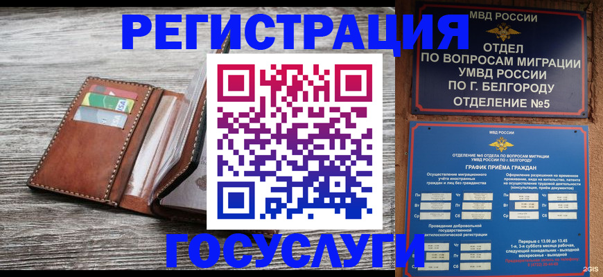 временная регистрация гарантия в Мамадыше
